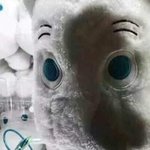 [<b>WayV</b>] 쫌쫌따리 글 올라와서 좋다,,