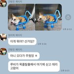울집 <b>강쥐</b> 보고 가
