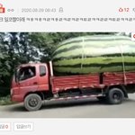 [NCT즌] 아 웃겨<b>디짐</b>ㅋㅋㅋㅋㅋ