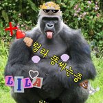 내가 찐 릴라임 <b>중대</b>발표한다