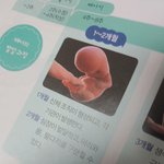 내가 진짜 이딴 걸 알아야 되나