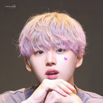 [펜타곤] <b>야옹이</b>좀 보고가