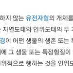 페미들의 <b>도태</b>의 기준.