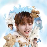 [엔하이픈] 정원이와 <b>인형들</b>