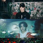 [이태용] <b>평화</b>로운 오후니까