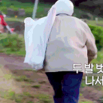 기여운 종니