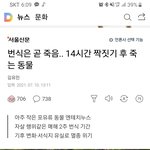 오늘의 뉴스