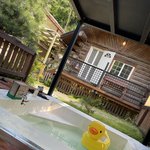 [꼭조언부탁] 숯을 챙겨가는 게 민폐인가요?제발댓좀