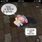 이거알려주먼 꼭 좋은일일어남