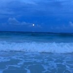 [드루와] 인팁 개인적으로 느낀 유형 궁합