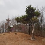 그냥 혼자 끄적이는 내인생