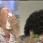 [NCT즌] 런쥔이랑 <b>천</b>러 아직도 옹호하는 애들아