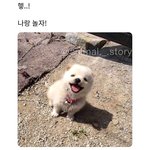 프사로 <b>이사진</b> 해논애 어때?