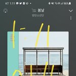 [방탄소년단] 우리동네에 이런 고양이있음