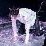 [드루와] <b>오세훈</b> 고양이 짤 풀어줌