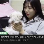 레벨 조이 이 영상 <b>완전</b>