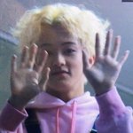 [NCT즌] 귀여운 걸로 <b>정화</b>하기