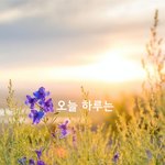 <b>오늘</b> 하루는