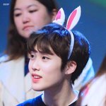 [더보이즈] 배준영 <b>아기토끼</b>