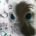 <b>무도</b> 뱀파이어 특집같은거 없냐?