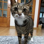 [스키즈] 도리 표정 <b>절묘</b>하다