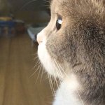 [19] 나 <b>바이</b>일까??