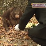 [진격의거인] 지크는 <b>두리안</b>이 싫다고 했어