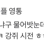 [NCT즌] 진짜 <b>막방</b> 아닌가보넹