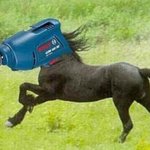 중3 옷 뭐<b>사지</b>ㅠㅠㅠ 추천 좀 해줘