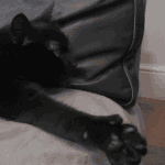 [아이콘] 너무 한 거 아니야...