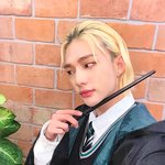 [스키즈] 근데 우리 테이들은 이사 안해?