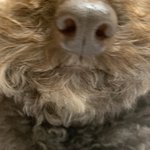 <b>촉촉</b> 코