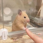 [댓글부탁해] 케이<b>팝</b> 좋아하는 <b>K</b>-사람 들어와