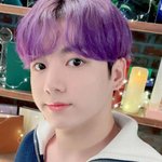 <b>정국이</b> 고양이