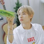 [NCT즌] 내 <b>올타임</b> 최애 조합