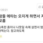 여기 이사람들 판은 오지게 하면서 <b>지네</b>가족은 뭘하는지 모름