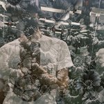 [이태용] 툥스타 <b>임티</b>가