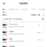 [스키즈] 진심 내 플리ㅋㄱㅋㄱㅋ