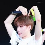 [NCT즌] 나 정프