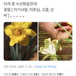 또 엓엘 드릉드릉 <b>시동</b> 거는거 봐라