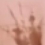 [에이티즈] 손 크기로만 따지면 <b>윤호</b>같지만