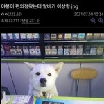 [댓글부탁해] 판녀들아 도와줘