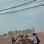 <b>길가</b>다 너무 예쁜 모습이라 올려봅니다