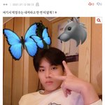 [트레저] 트메들 <b>투명</b>한게