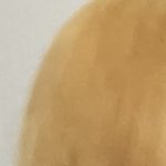 [ㅈㄱㄴ] 머리 안이상함?