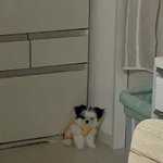 얘드라 시즈니룩을 <b>무라</b> 부르지