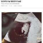 너네 남친 반팔 안에 뭐 입냐