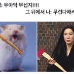 <b>선천</b>적으로 충치 잘 안생기는 애들 있음??