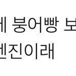 [엔하이픈] 니키 아기같오