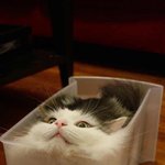 [19] 친구들끼리 ㅅ밍<b>아웃</b> 해?